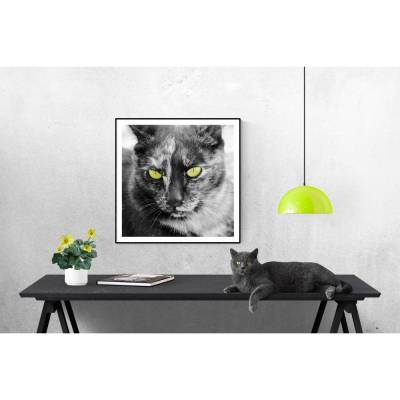 Katze Grüne Katzenaugen Kunstdruck in Schwarz-Weiß, Fotografie und Wanddekoration mit dem Namen "Cat", 30 x 30 cm, 20 x 20 cm, 13 x 13 cm