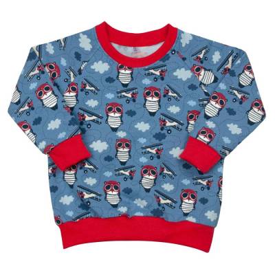 Pullover Sweater Baby Jungen "Kleiner Pilot" Kuschelsweat