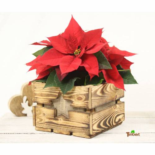 Vintage Blumenkiste Weihnachtsstern Weihnachtsgeschenk Rustikale Holzkiste mit Stern Obstkiste für Blumen Geschenkkorb Blumentopf aus Holz