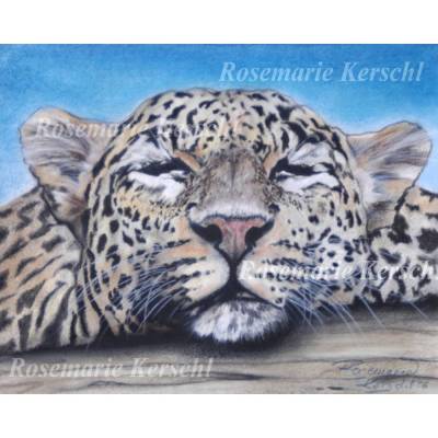 Schlafender Leopard – handgemaltes Pastellkreidebild 30 x 40 cm Querformat Tierporträt