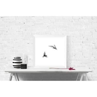 Seeschwalben im Flug auf weißem Hintergrund, Vögel Fotografie und edler Kunstdruck, 13 x 13 cm 20 x 20 cm 30 x 30 cm