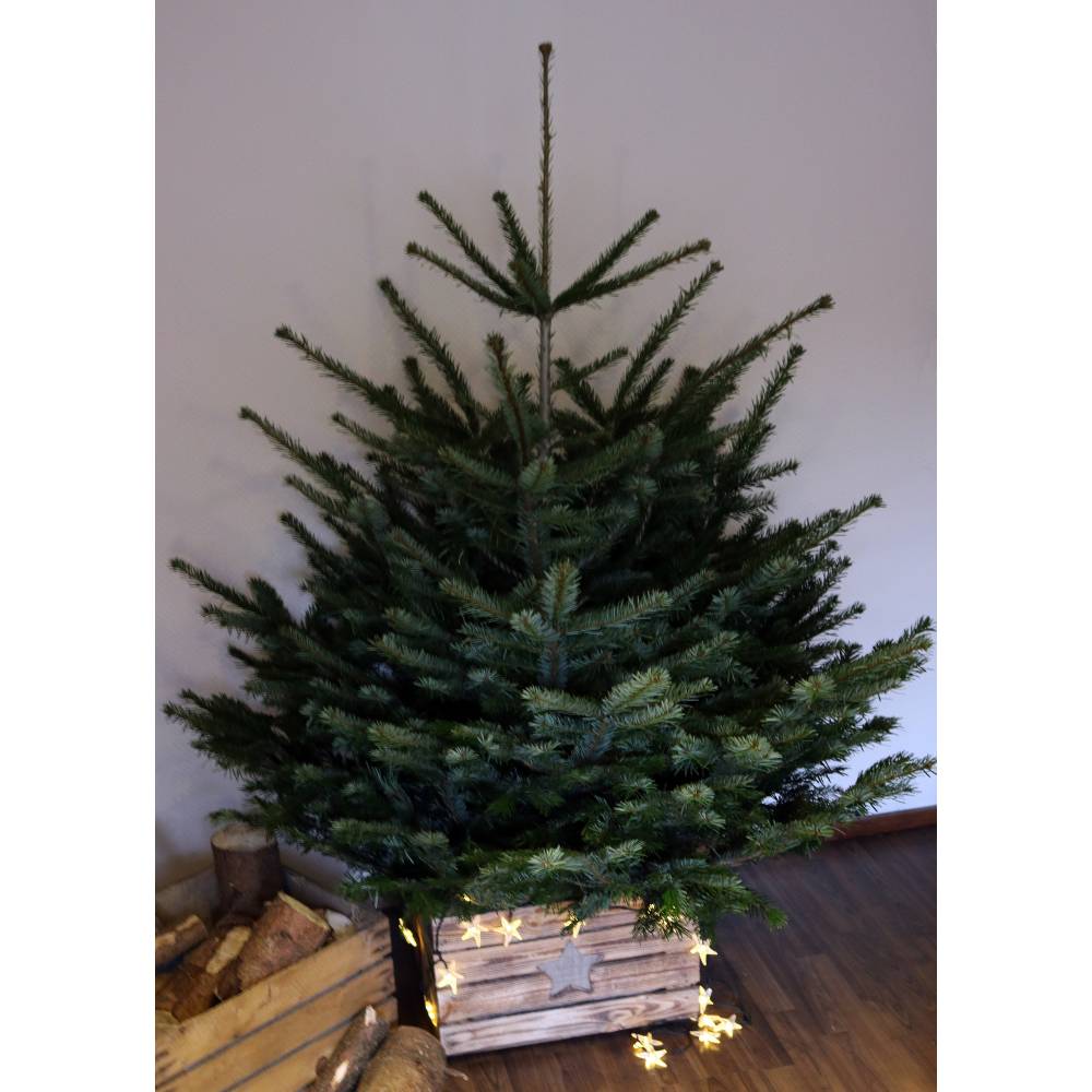 RUSTIKALE WEIHNACHTSBAUMSTÄNDER alte OBSTKISTE Christbaum Ständer aus Holz Weihnachtsdeko Vintage Holzkiste Baumhalter W