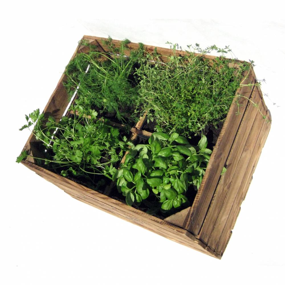 Rustikale KRUTERKISTE Kruterbeet Pflanzbeet mit Einlage aus Holz Vintage  Holzkiste Blumenkbel HOCHBEET Obstkiste Blumenkasten Blumentopf