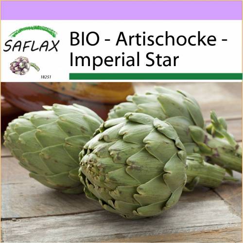 SAFLAX - BIO - Artischocke - Imperial Star - 5 Samen - Cynara scolymus