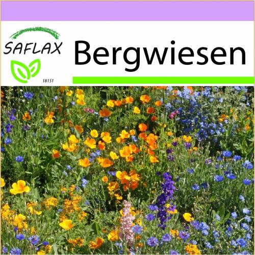 SAFLAX - Wildblumen: Bergwiesen - 1000 Samen - 16 Wildflower Mix