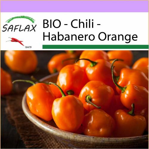 SAFLAX - BIO - Chili - Habanero Orange - 20 Samen - Capsicum annuum