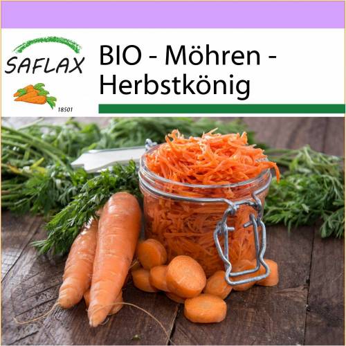 SAFLAX - BIO - Möhren - Herbstkönig - 1000 Samen - Daucus carota