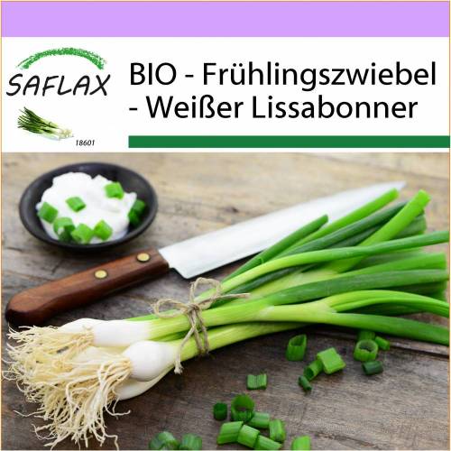 SAFLAX - BIO - Frühlingszwiebel - Weißer Lissabonner - 150 Samen - Allium cepa