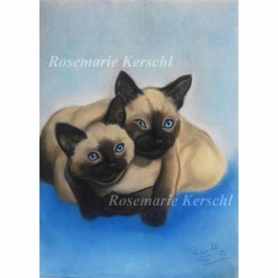 Siamkatze Pastellkreide Tierporträt handgemalt 40 x 30 cm Hochformat Unikat