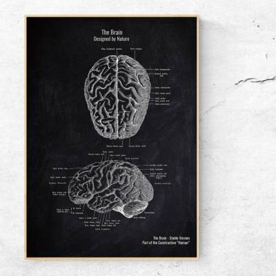 The Brain No. 2 - Patent-Style - Anatomie-Poster