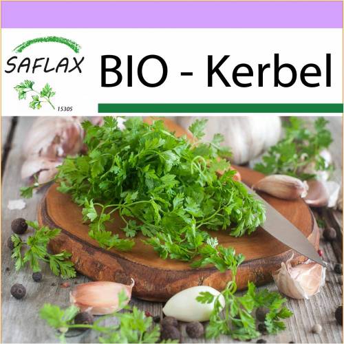 SAFLAX - BIO - Kerbel - 800 Samen - Anthriscus cerefolium