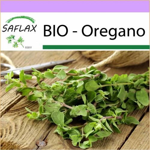SAFLAX - BIO - Oregano - 1500 Samen - Origanum heracleoticum