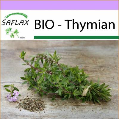 SAFLAX - BIO - Thymian - 800 Samen - Thymus vulgaris