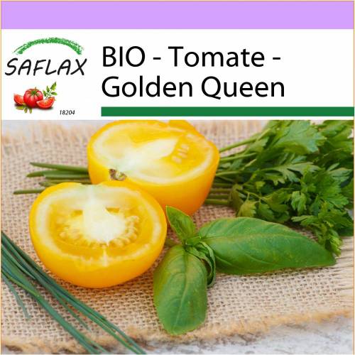 SAFLAX - BIO - Tomate - Golden Queen - 15 Samen - Solanum lycopersicum