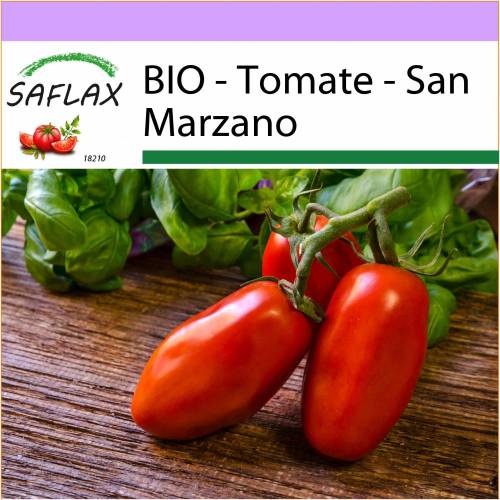 SAFLAX - BIO - Tomate - San Marzano - 15 Samen - Solanum lycopersicum