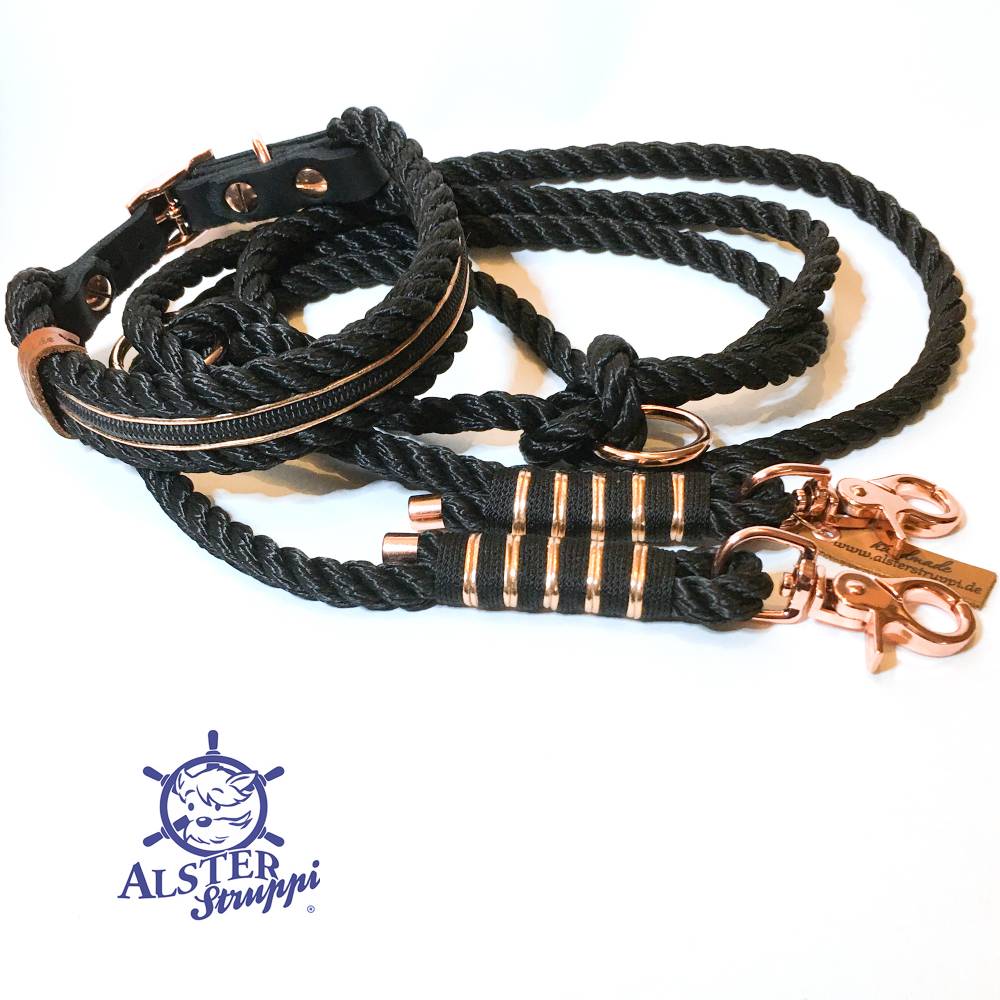Leine Halsband Set schwarz rosegold, fr kleinere Hunde, verstellbar