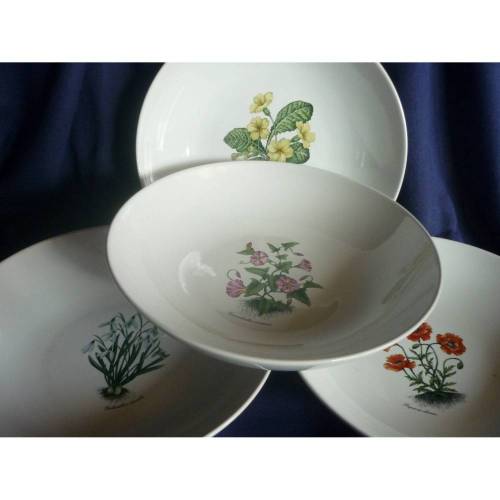 Suppenteller,Teller, Frühlingsblumen, 6er Set,Gänseblümchen,Vergissmeinicht,Primeln,Wicken,Schneeglöckchen,Klatschmohn
