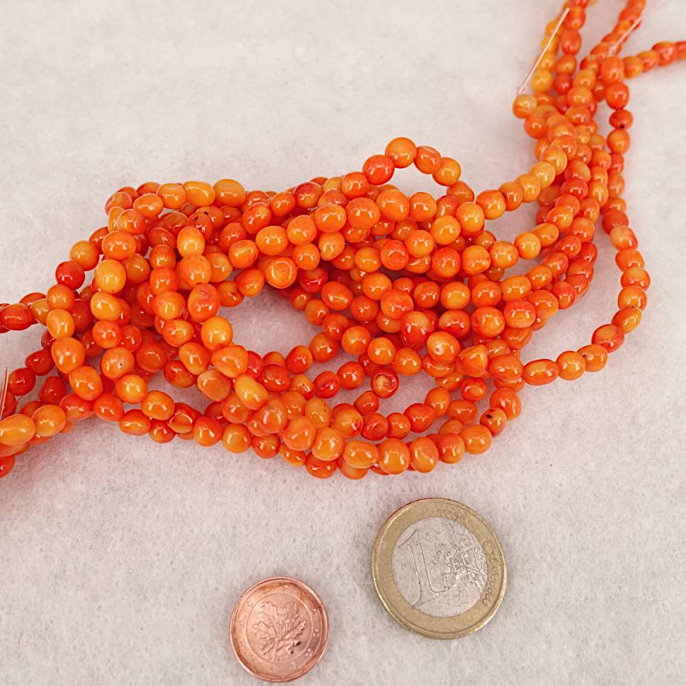 Bambus Koralle Strang, leuchtend orange
