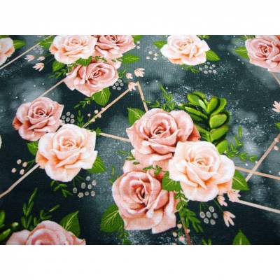 Baumwolljersey Stoff Rosenblüten auf Grau mit Geometrischem Muster Öko-Tex | Digitaldruck Stoff 150cm breit