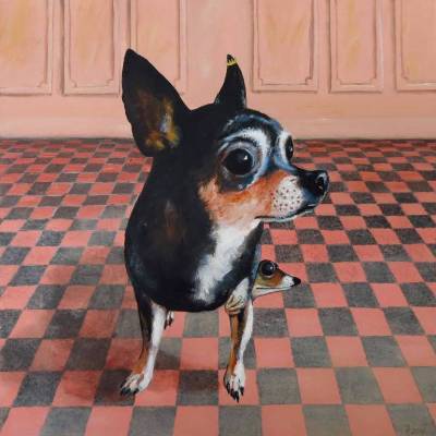 Chihuahuafrosch, Chihuahua, Frosch, Froschkönig, kleiner Hund, Schoßhund, Techichi, witziges Bild, Mini Hund, Froschbild, Hundebild