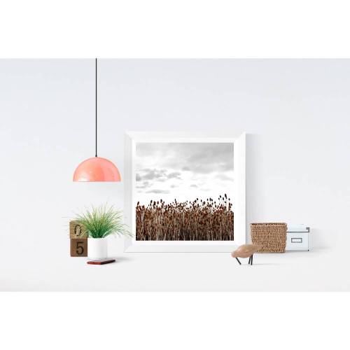 Fotografische Malerei Wilde Karde Heimische Pflanzen Wildblumen Floral Botanik Poster Kunstdruck Modernes Wandbild, Grau Braun, 30 x 30 cm