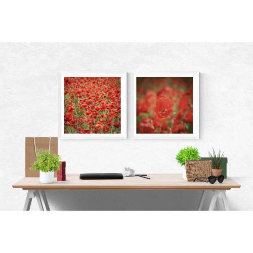 2er Set 2 Bilder Mohnblumen Mohnblumenfeld Blumenbild Florale Wandbilder Botanik Wanddekoration Wohnzimmer Schlafzimmer Büro, 13 x 13  20 x 20  30 x 30 cm