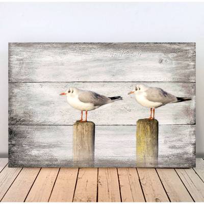 MÖWENDUO Maritimes Bild auf Holz, Leinwand, Print Wanddeko Landhausstil Rustikal Vintage Shabby Chic kaufen