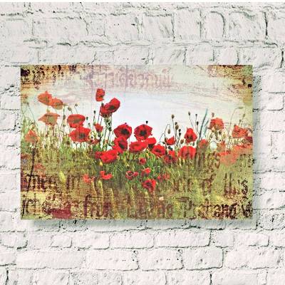 ROTE MOHNBLUMEN VERWITTERT Bild auf Holz Leinwand Print Wanddeko Landhausstil VintageStyle ShabbyChic kaufen            