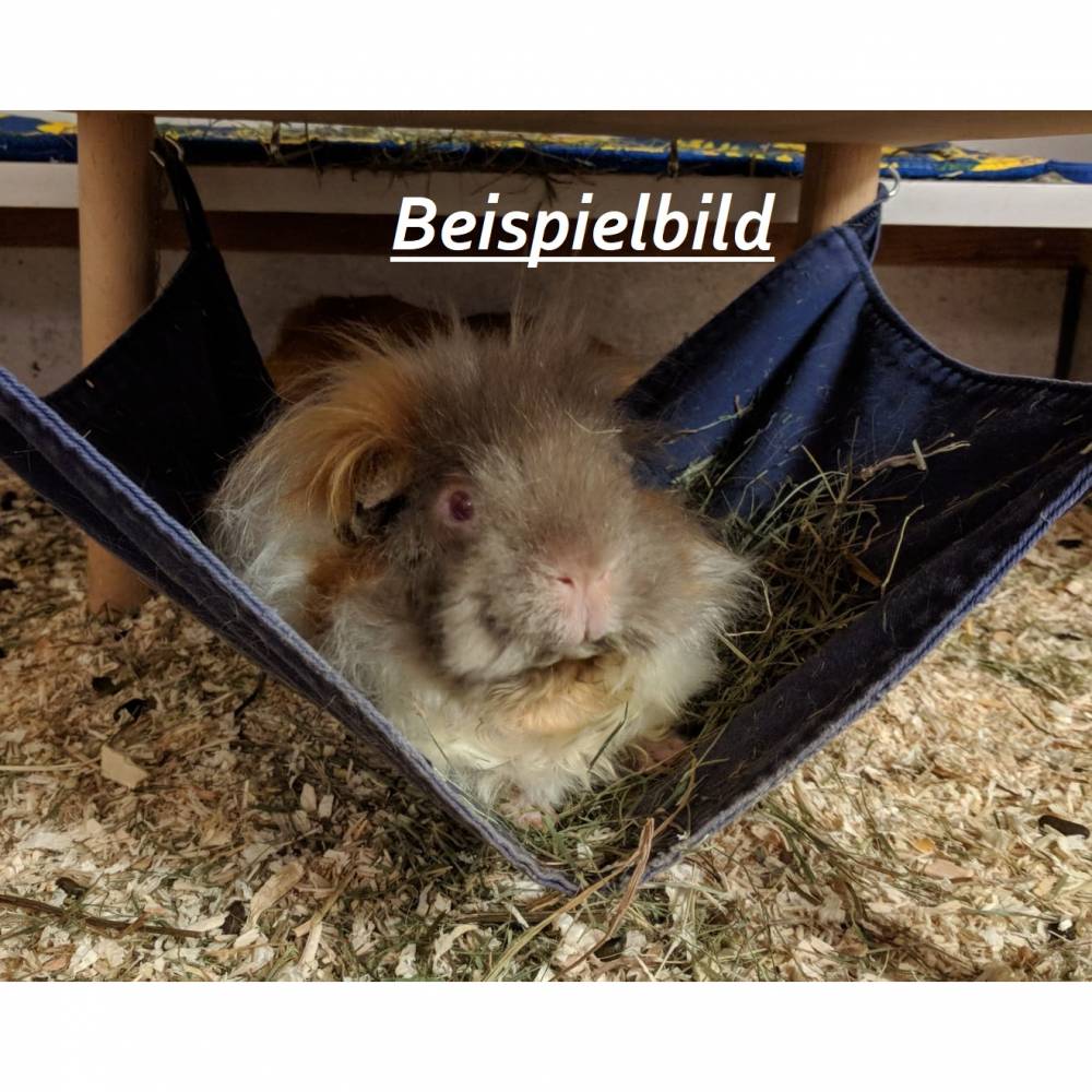 markise abspannen Camping Markise