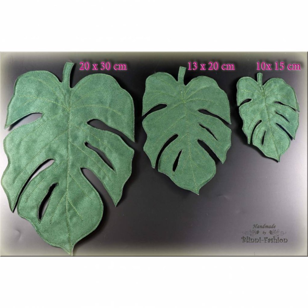 tripidi monstera Monstera gracilis Tingo Maria  AABexotics