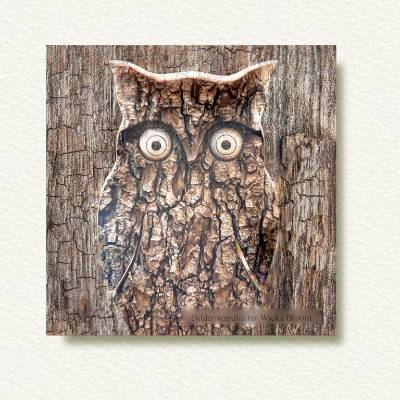 EULE RUSTIKAL Waldtiere Vögel Tierbild auf Holz Leinwand Kunstdruck Wanddeko Baum Borke Landhausstil Shabby Chic kaufen