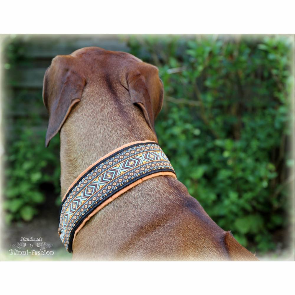 Halsband 45 oder 55mm breit mit Zugstopp fr Hunde, Hundehalsband fr den  groen Hund wie Ridgeback, Dogge, Weimaraner