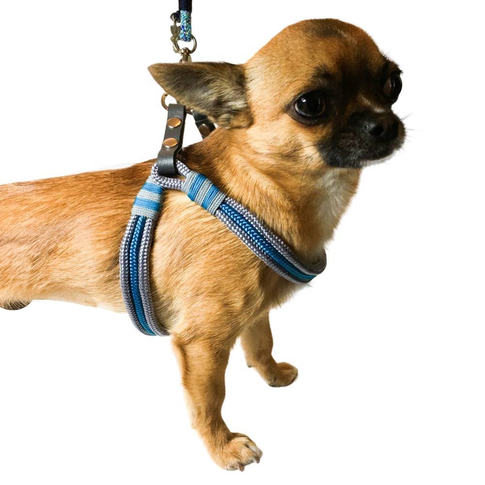 Geschirr fr kleine Hunde - Einfach anzuziehen
