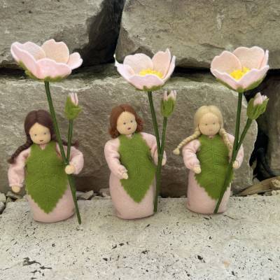 Heckenrose -  Jahreszeitentisch - Blumenkind - Sommer