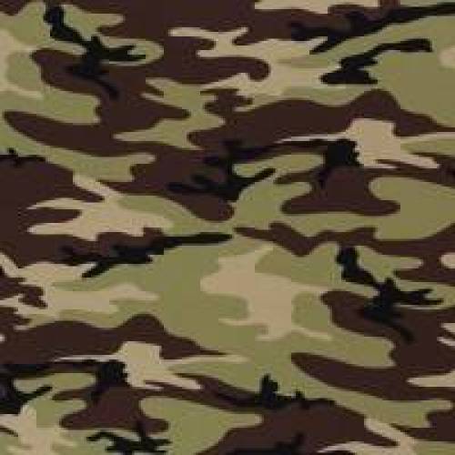 Jersey Baumwolljersey Vera Swafing  Camouflage grün  Oeko-Tex Standard 100(1m/15,-€)