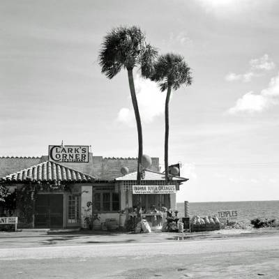Clark's Corner - Meer, Strand und Palmen -  Kunstdruck Fineartprint Poster Vintage Art - schwarz weiß Foto