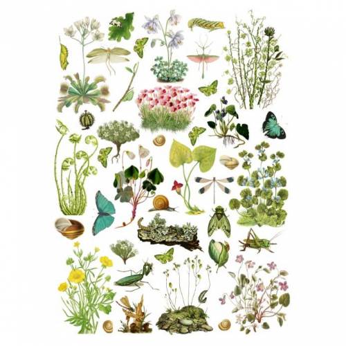 Reispapier - Motiv Strohseide - A4 - Decoupage - Vintage - Shabby - Wald und Wiese- 19074