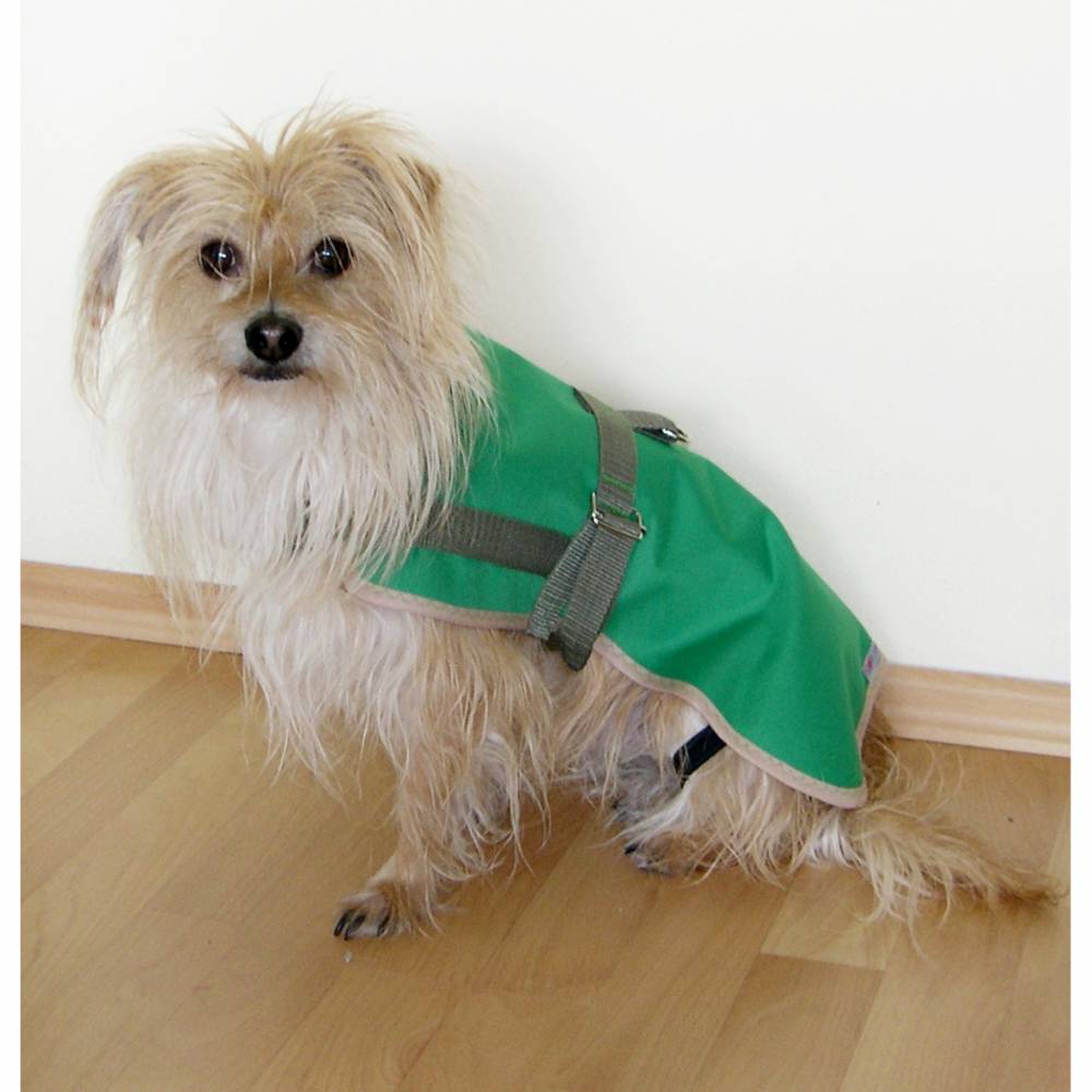 Hundemantel Regenmantel nach Ma  Hundebekleidung & Geschirr in Einem,  wasserdicht, Fleece, XS bis S/M, grn/blau/schwarz, Regencape