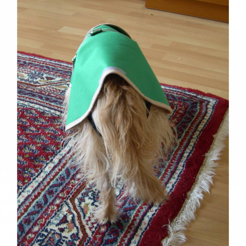 pferdefleisch fr hunde trockenfutter Wildsterne Pferd & Kartoffel Adult gnstig kaufen