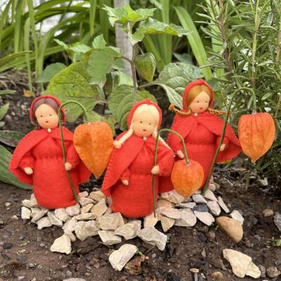 Physalis - Jahreszeitentisch - Blumenmädchen  - Herbst