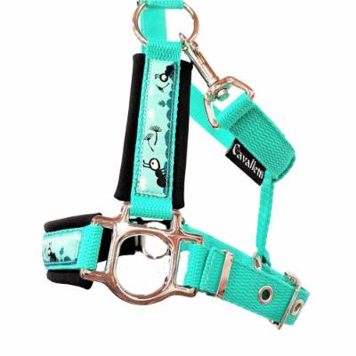 Halfter Shetty "Charlie" ~ mint