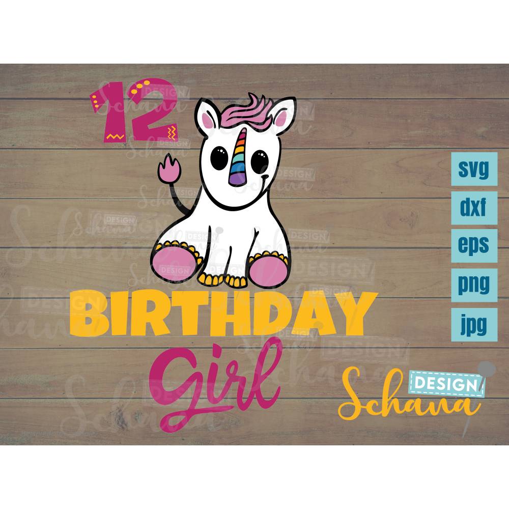 Plotterdatei Geburtstagsshirt Einhorn Girl 12 Geburtstag süß EPS DXF SVG png u jpg Plotterdatei Digistamp Sublimation Druck cricut cameo pdf Bild 2