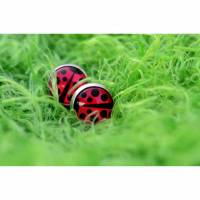Edelstahl Ohrstecker mit Marienkäfer . Glücksbringer Ohrringe als Geschenk für die Freundin oder Kinder . Runder Schmuck