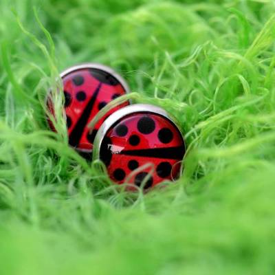 Edelstahl Ohrstecker mit Marienkäfer . Glücksbringer Ohrringe als Geschenk für die Freundin oder Kinder . Runder Schmuck