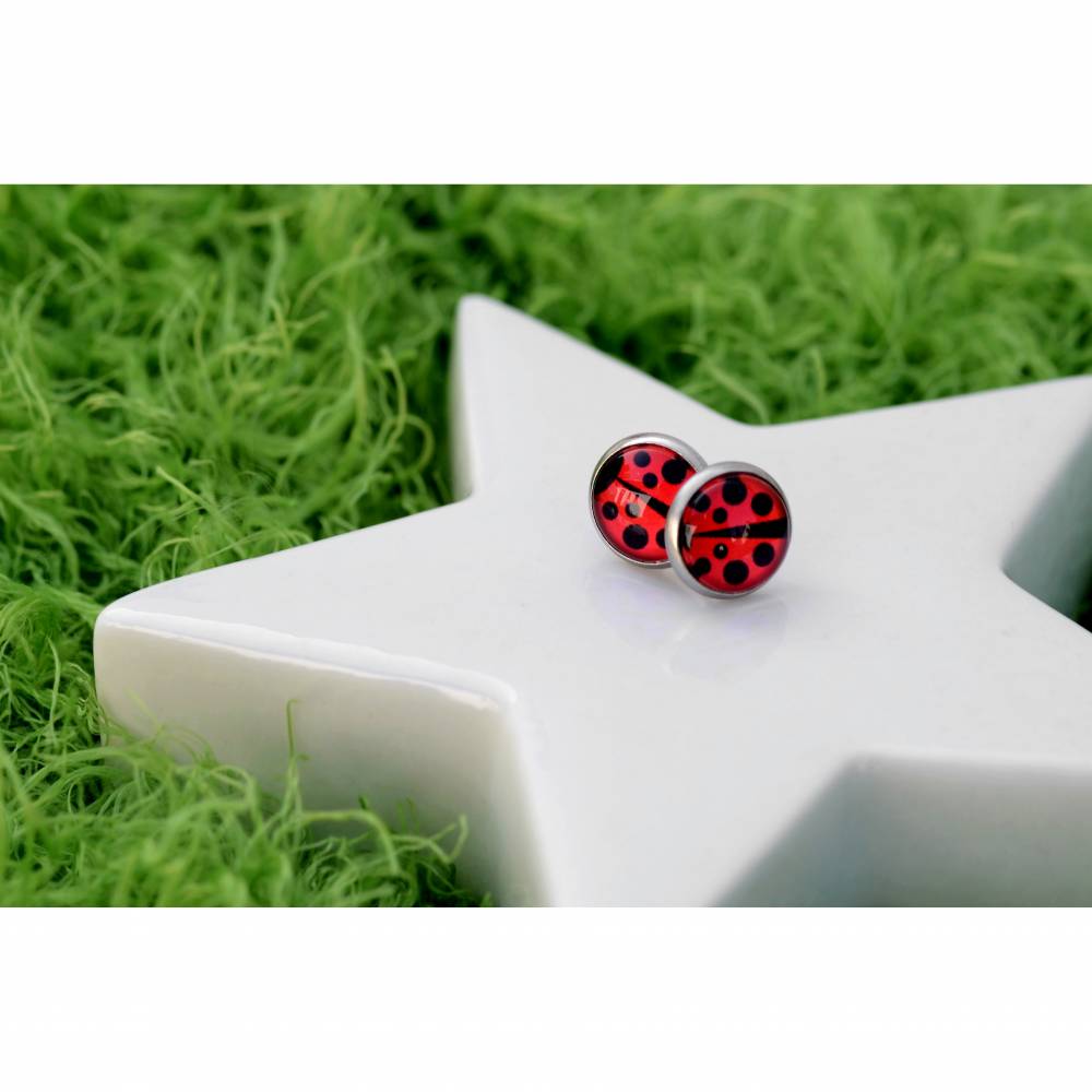 Edelstahl Ohrstecker mit Marienkäfer . Glücksbringer Ohrringe als Geschenk für die Freundin oder Kinder . Runder Schmuck Bild 2