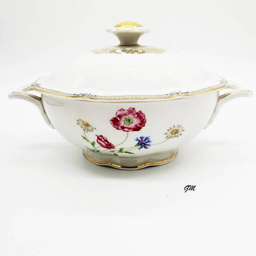Vintage, Servierschüssel mit Deckel, Suppenschüssel, Suppenterine von Hutschenreuther Abt. Paul Müller Selb, Lucia,