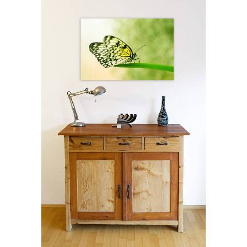 Schmetterling Frühling Makro Fotografie 60 x 90 cm glänzend