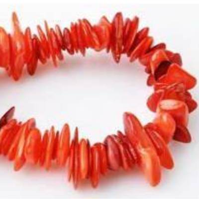 Muschelsplitter, rot, 4-18mm, 70 Splitter