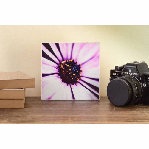 Blumenwiese Sommer rosa Wandgestaltung, Foto auf Holz, im Quadrat, 13 x 13 cm handmade