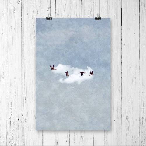 Kraniche im Flug, Kunstdruck "Come Along", vier Kraniche vor weißer Wolke, Hintergrund blau melierter Himmel, DI
